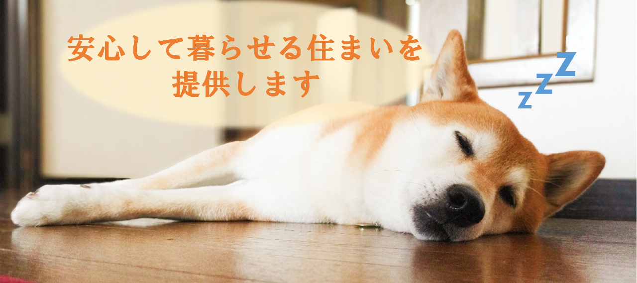 寝ている犬